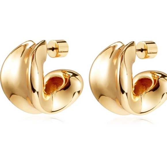 Jenny Bird NWOT Doune Chunky Hoop Earrings - Picture 1 of 9